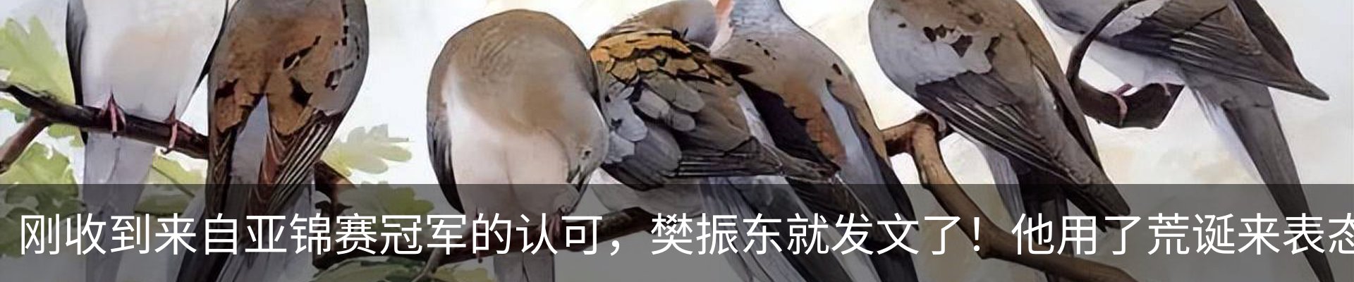 行业资讯