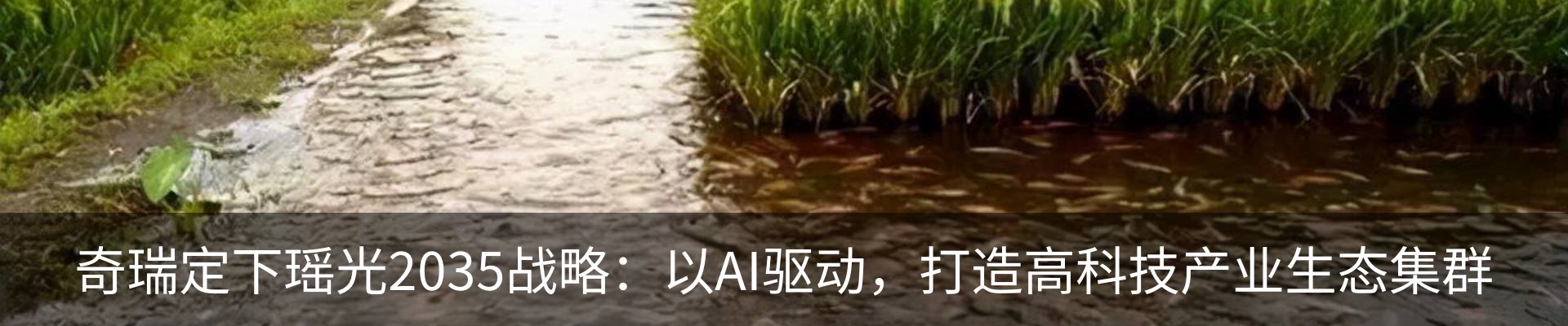 行业资讯