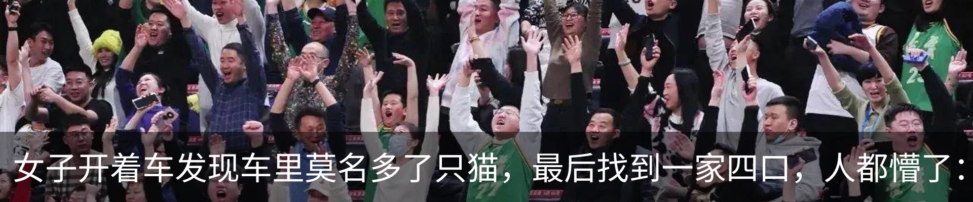 行业资讯