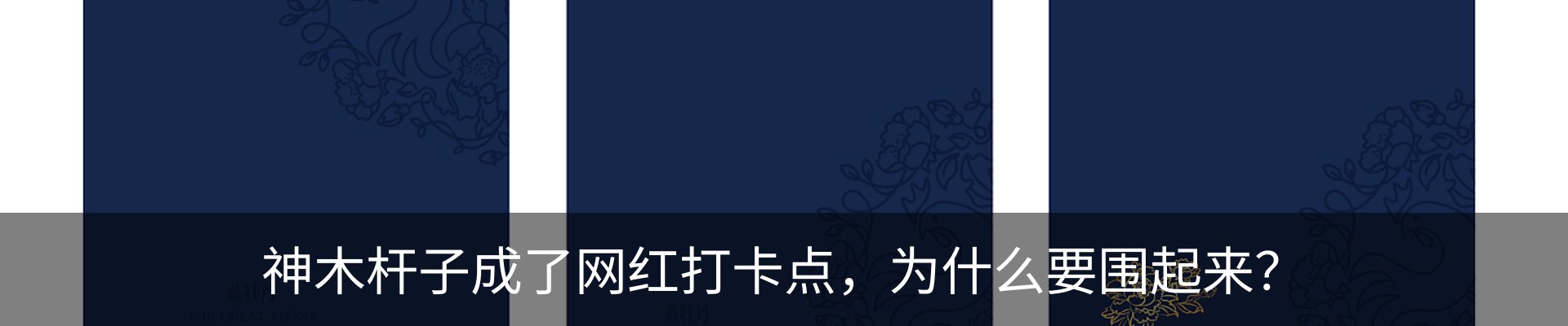 行业资讯