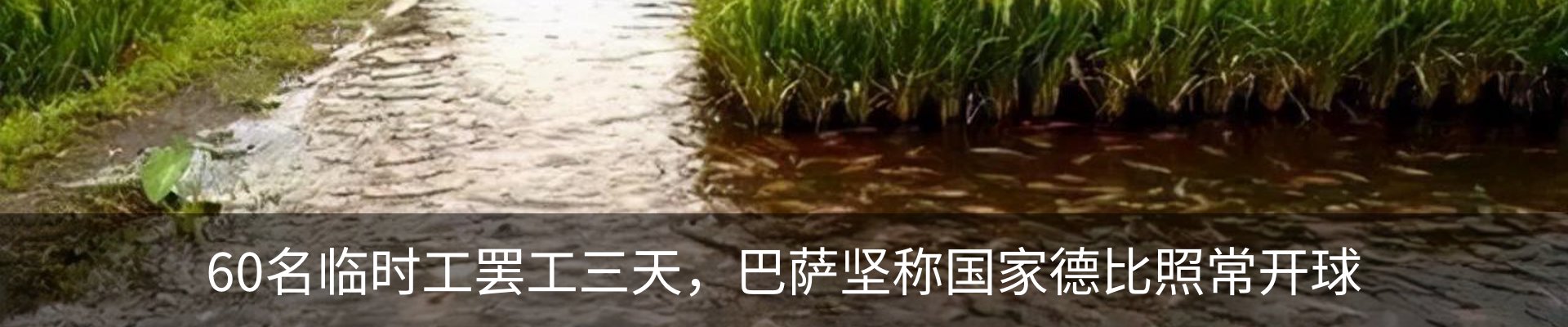 行业资讯